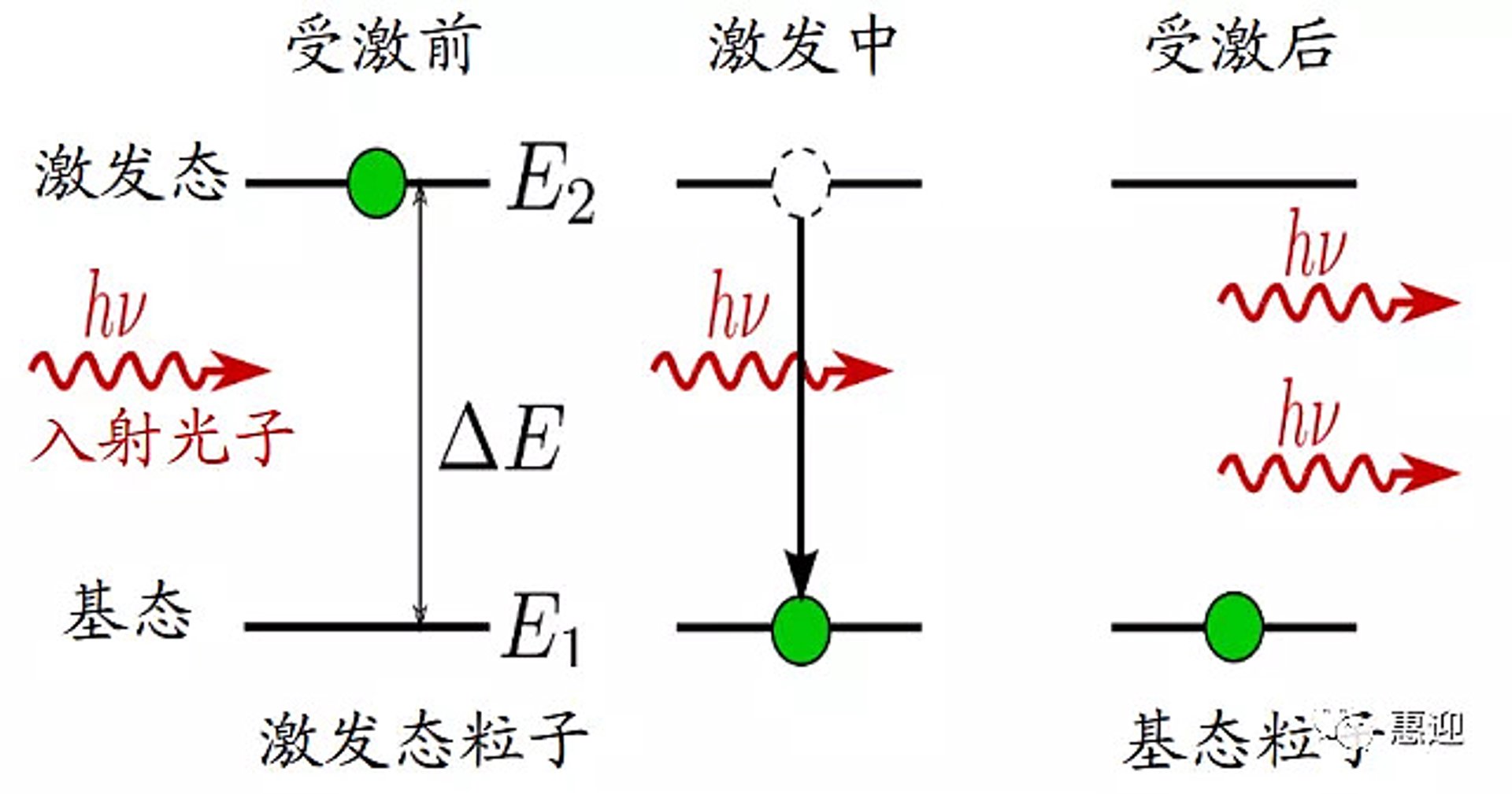 天丰光谱仪器